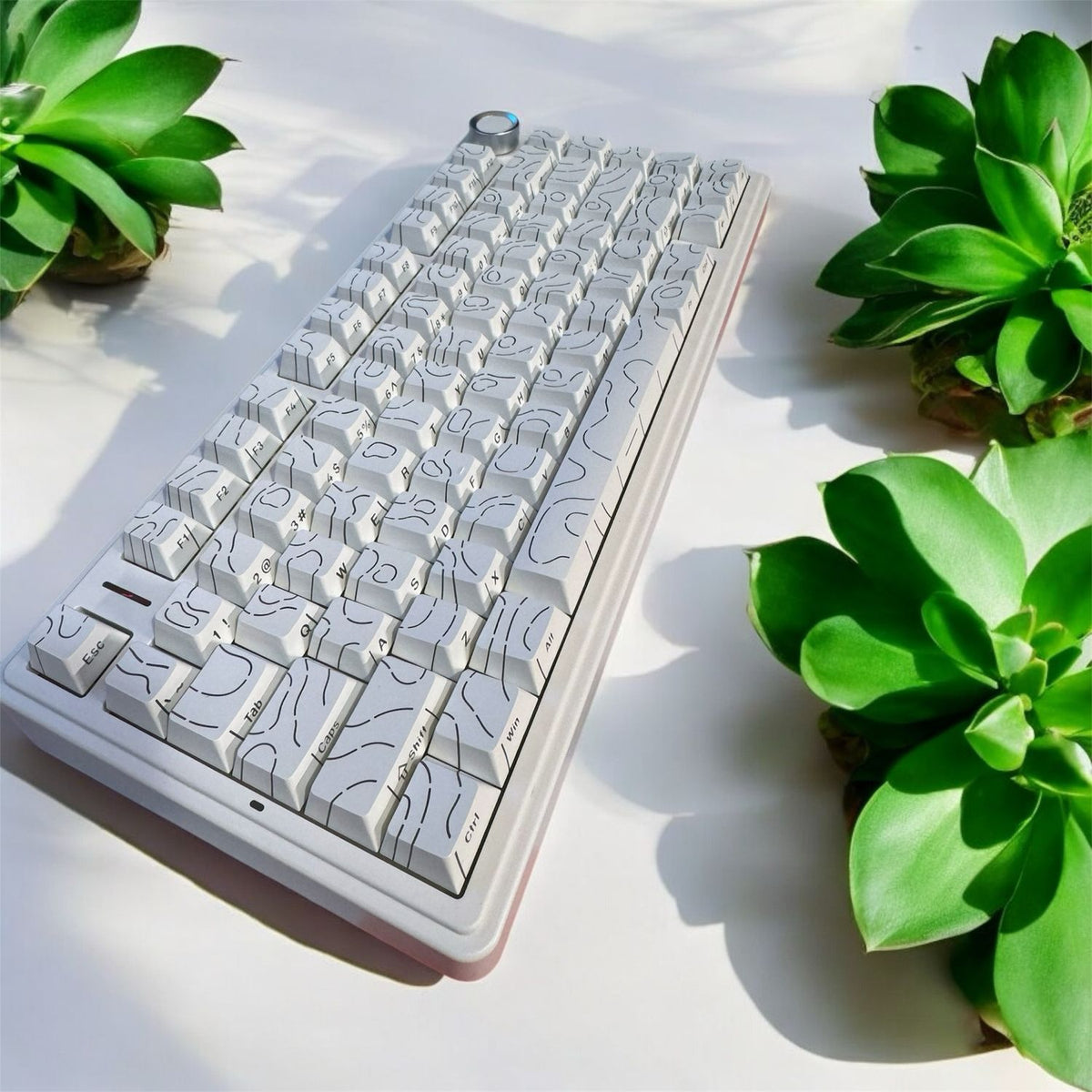 AULA F75 (White TOPO)