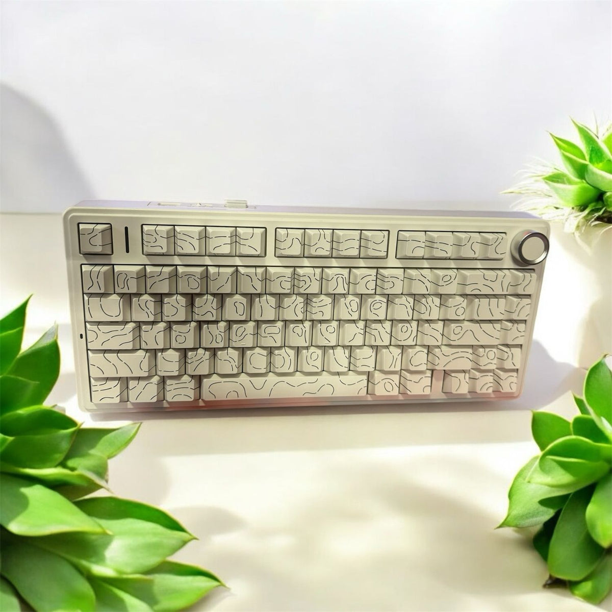 AULA F75 (White TOPO)