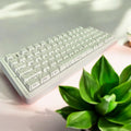 AULA F75 (White TOPO)