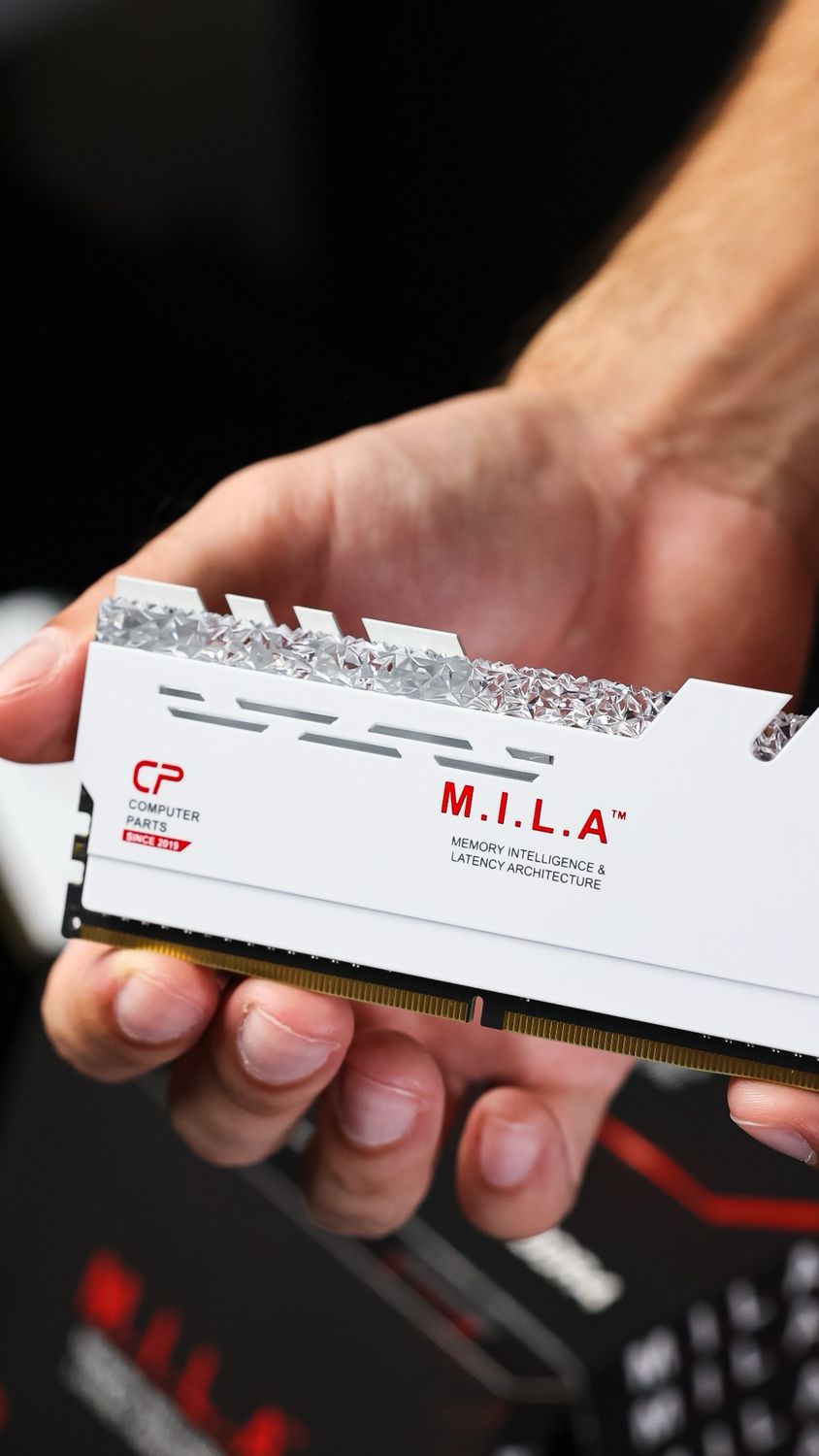 M.I.L.A DDR4 RAM