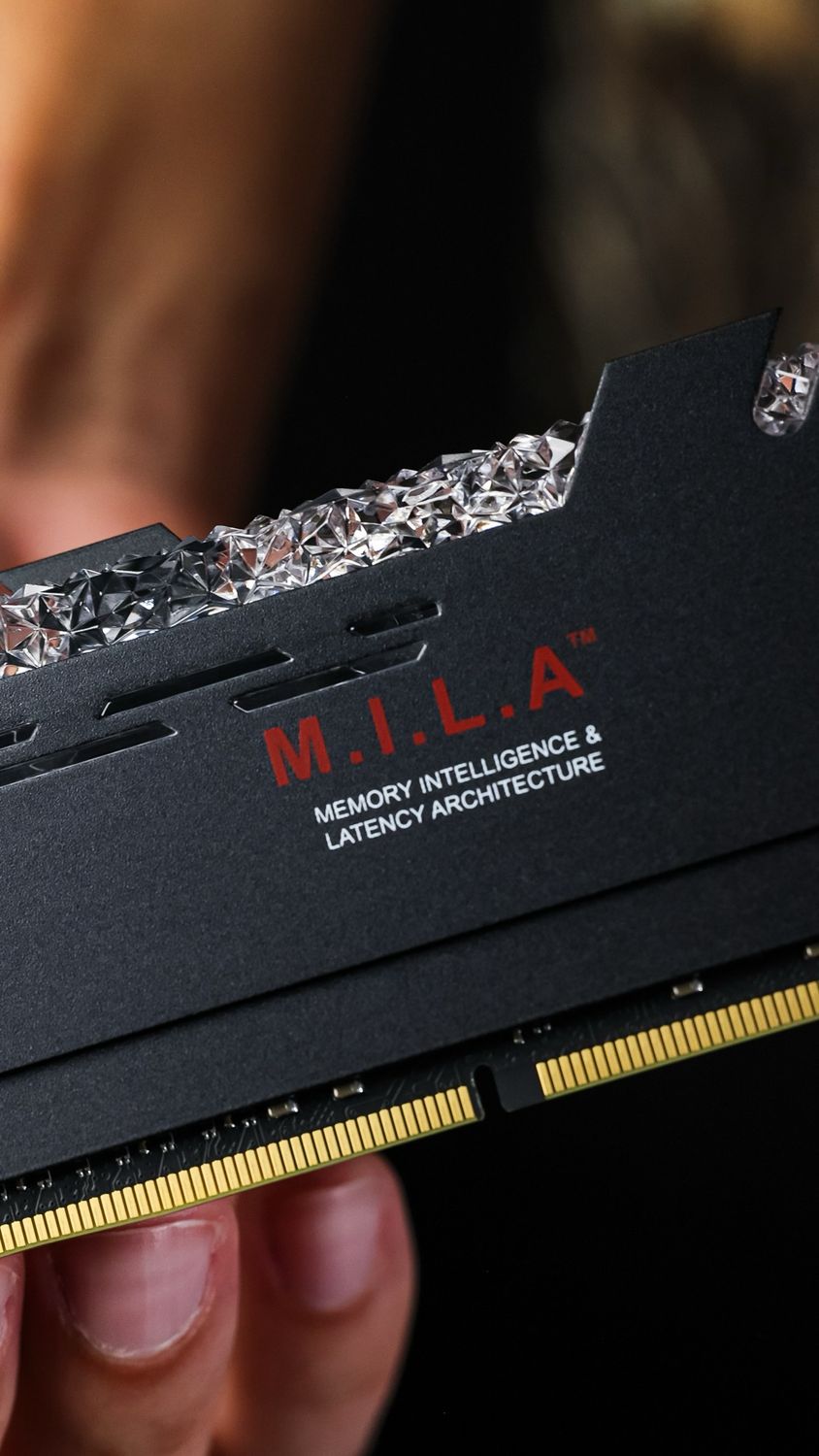 M.I.L.A DDR4 RAM