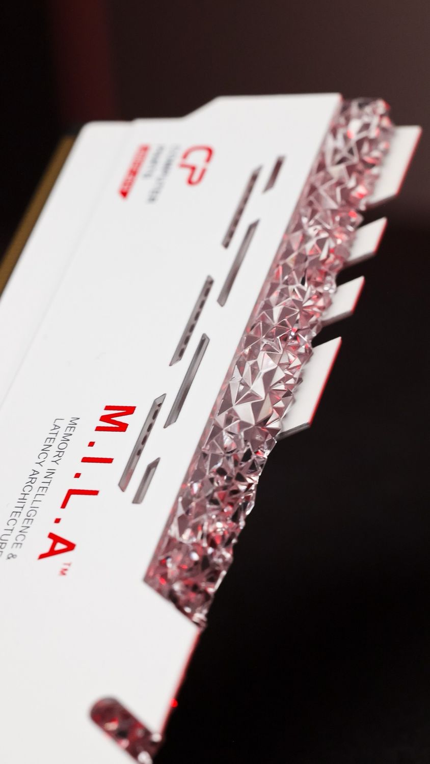 M.I.L.A DDR4 RAM